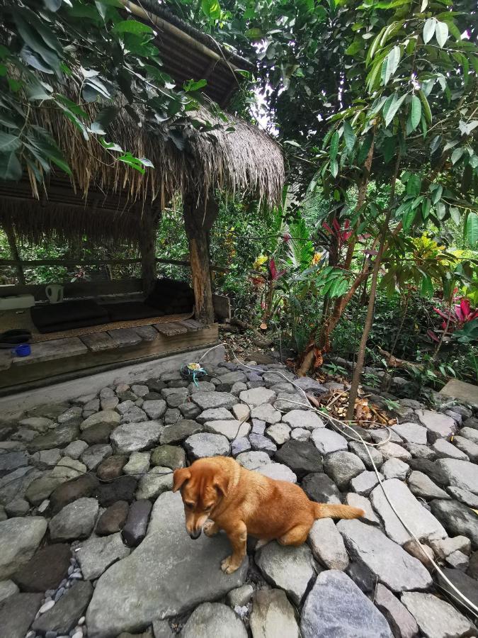 Les Garden Villa Tejakula Zewnętrze zdjęcie