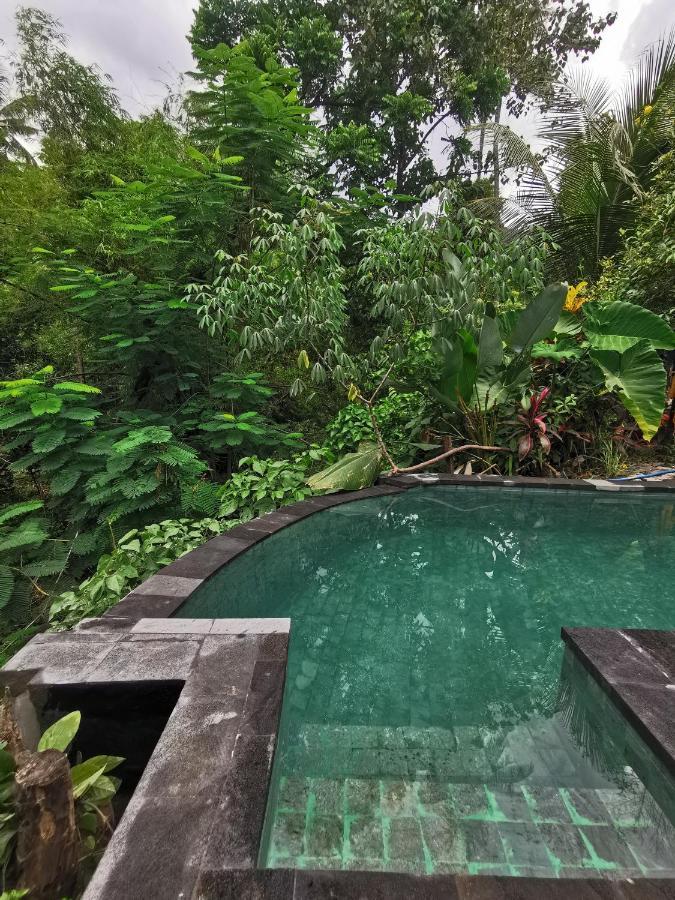 Les Garden Villa Tejakula Zewnętrze zdjęcie