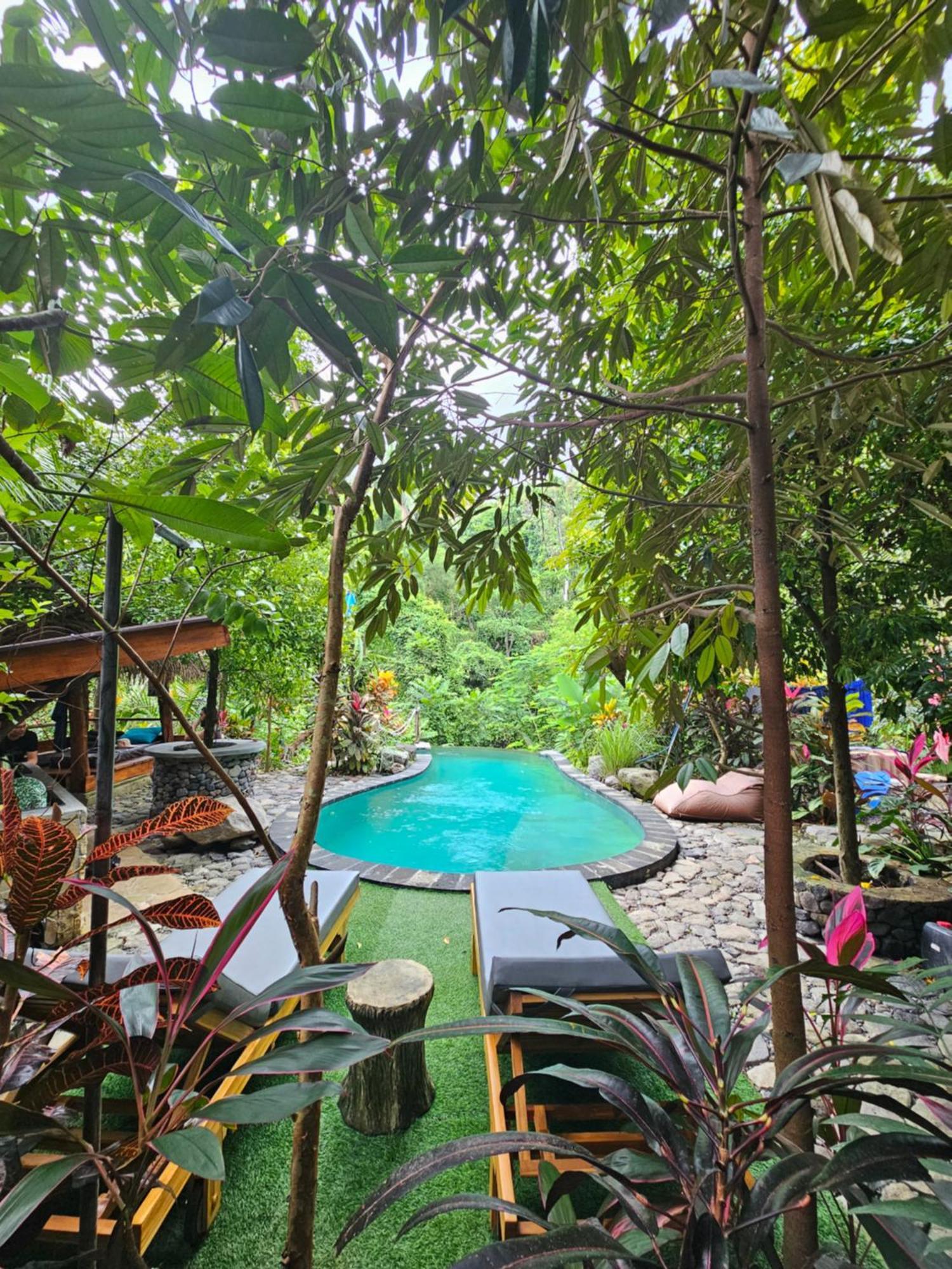 Les Garden Villa Tejakula Zewnętrze zdjęcie