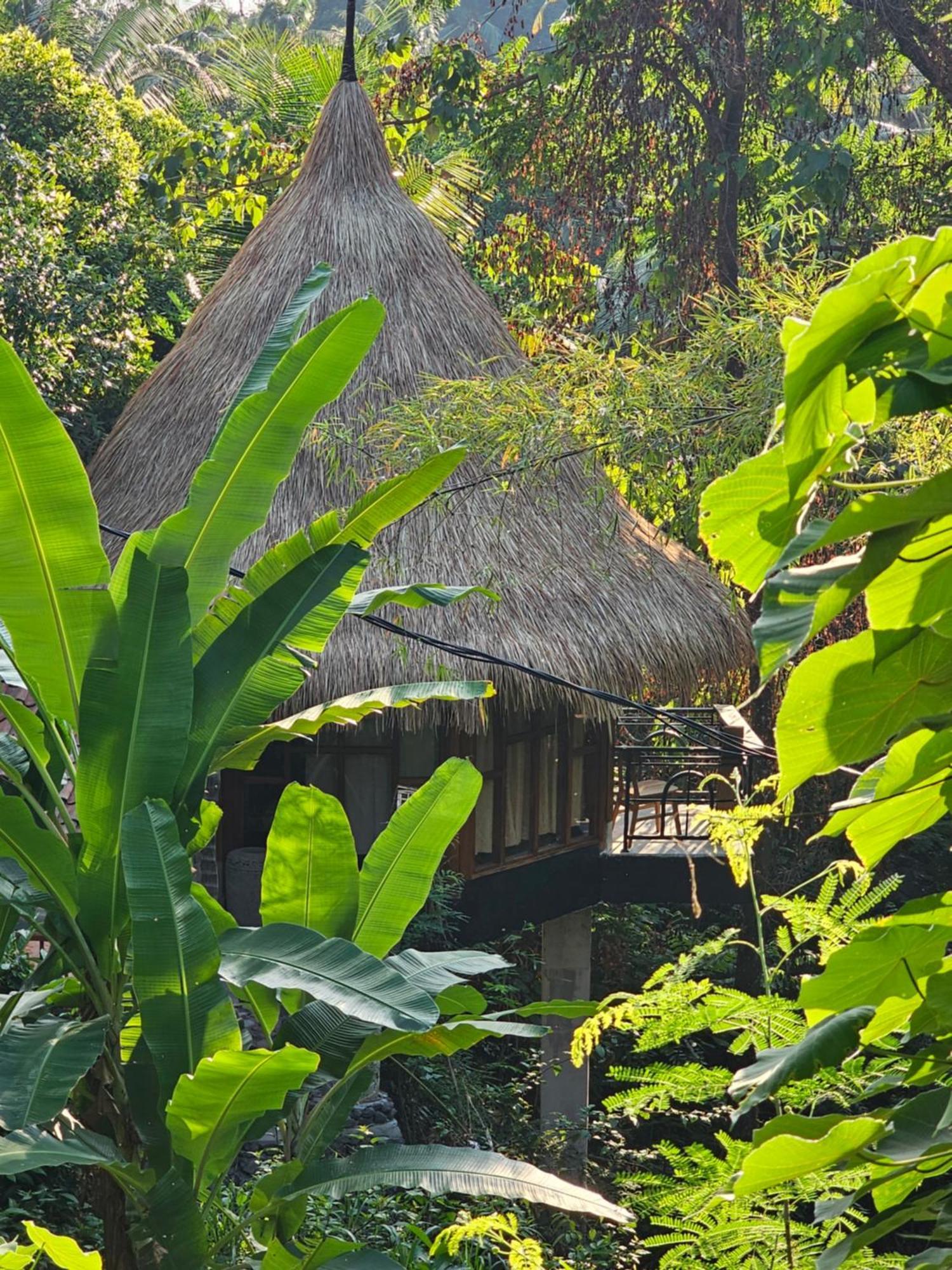 Les Garden Villa Tejakula Zewnętrze zdjęcie