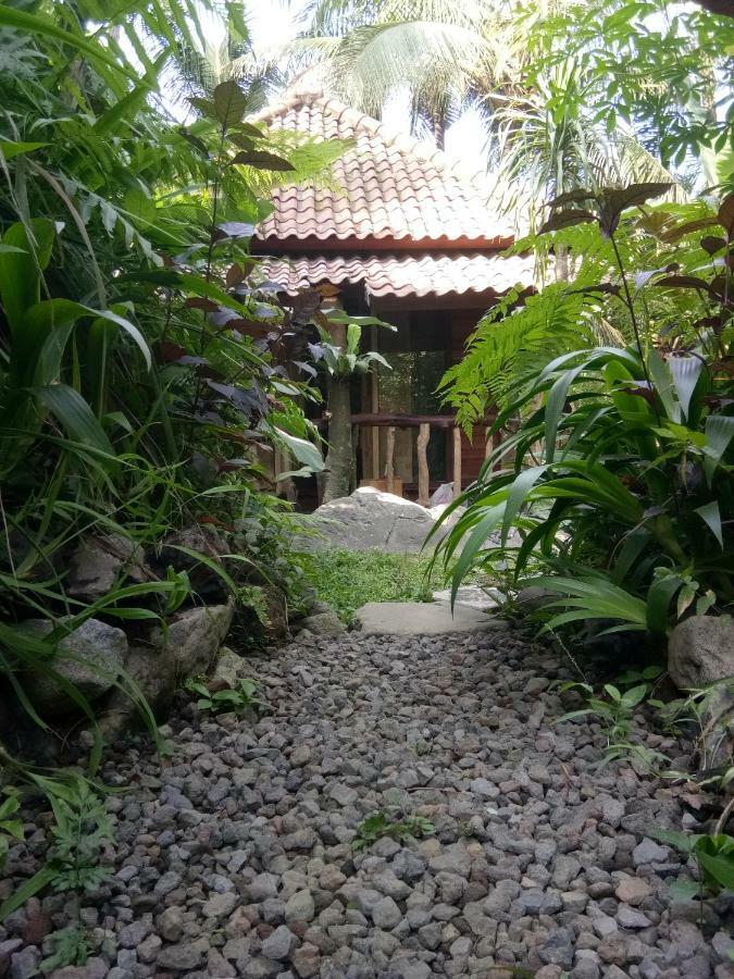 Les Garden Villa Tejakula Zewnętrze zdjęcie